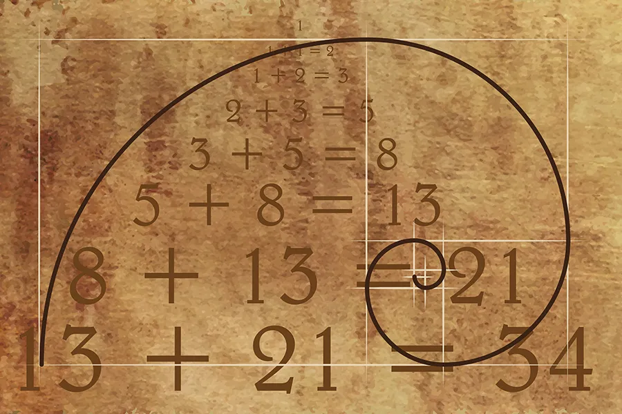 Fibonacci Ne Demek?