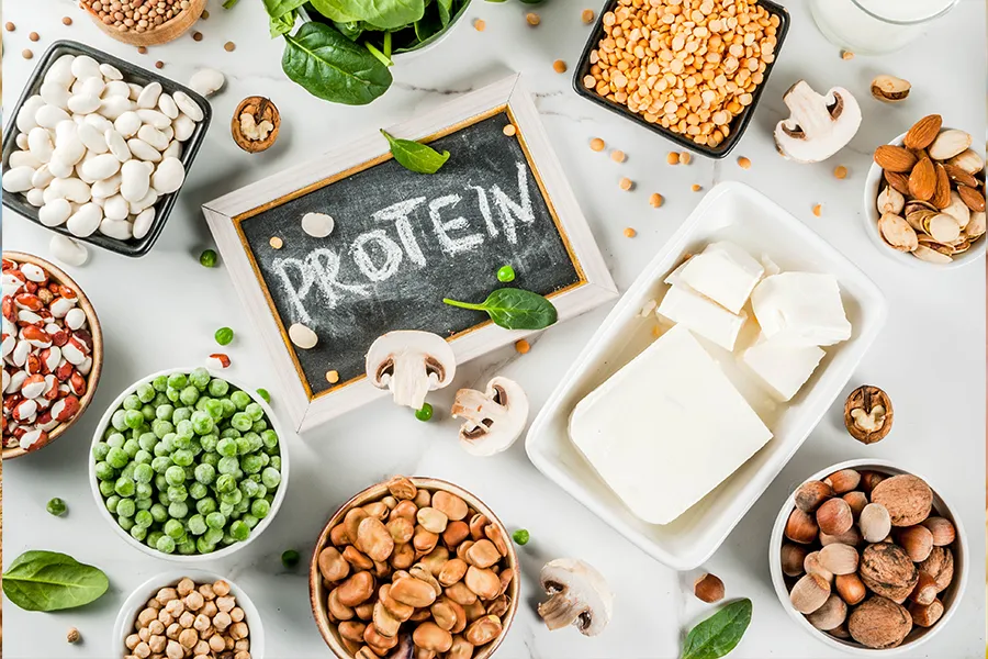 Proteinlerin Özellikleri