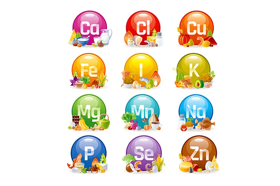 Neden Minerallere İhtiyaç Duyarız?
