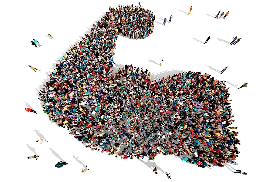 Demokrasinin Çeşitleri Nelerdir?