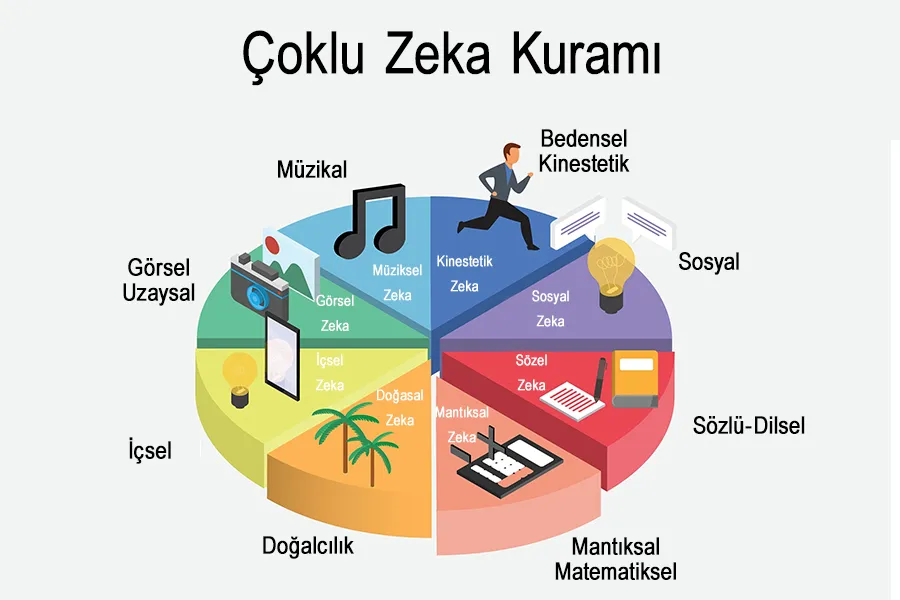 Çoklu Zeka Kuramı Nedir?