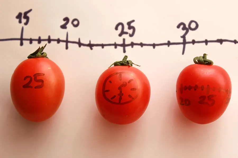 Pomodoro Tekniği Nedir?