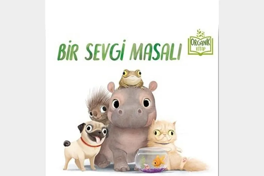 Bir Sevgi Masalı