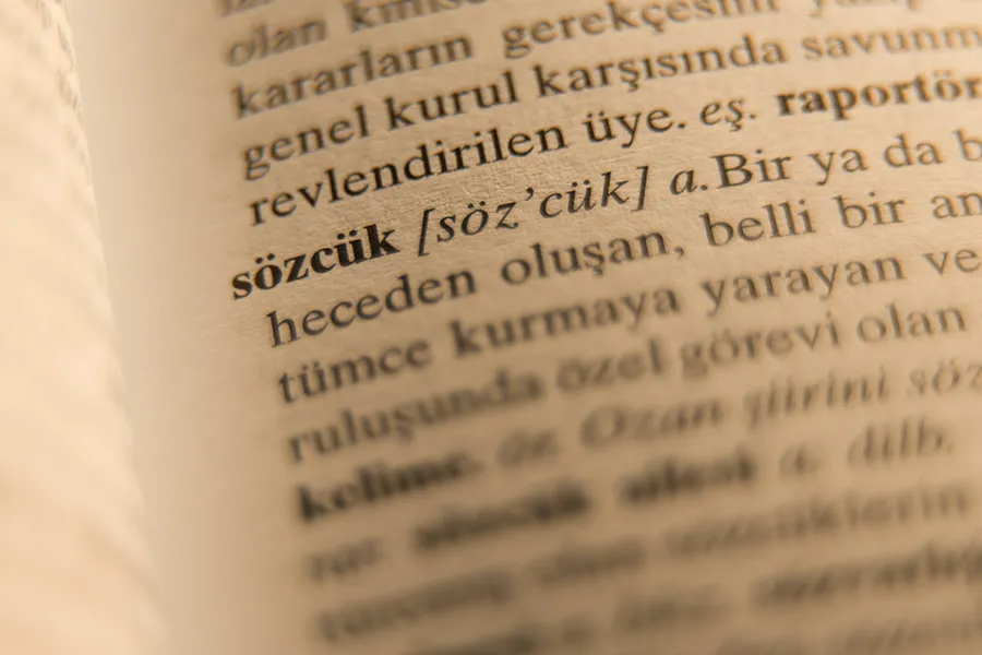 Sesteş Kelimeler Nelerdir?