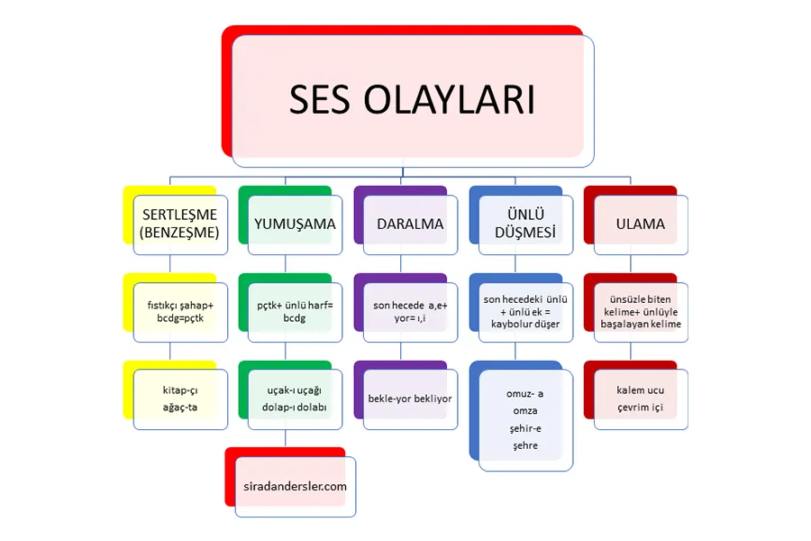 Ses Olayları Nelerdir?