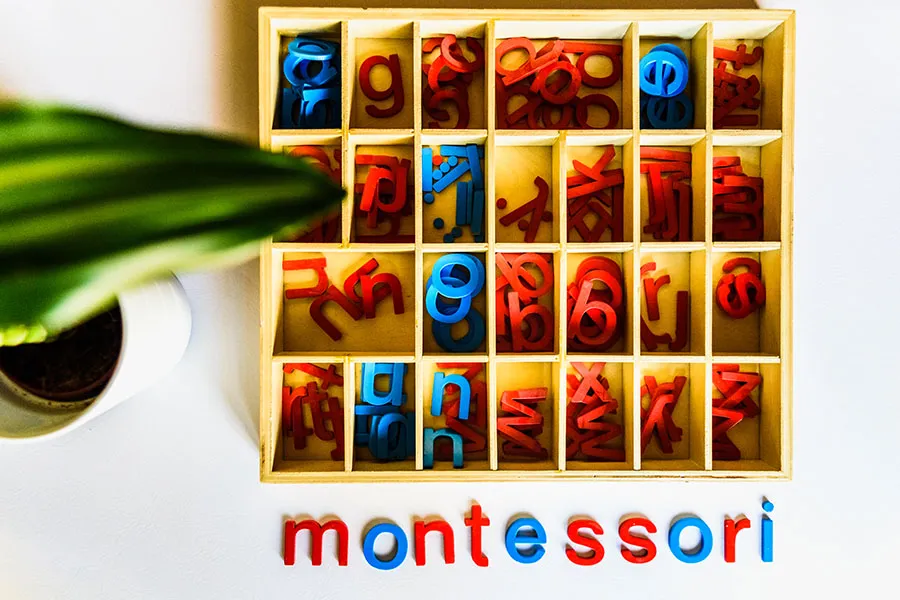 Montessori Eğitimi Nedir?