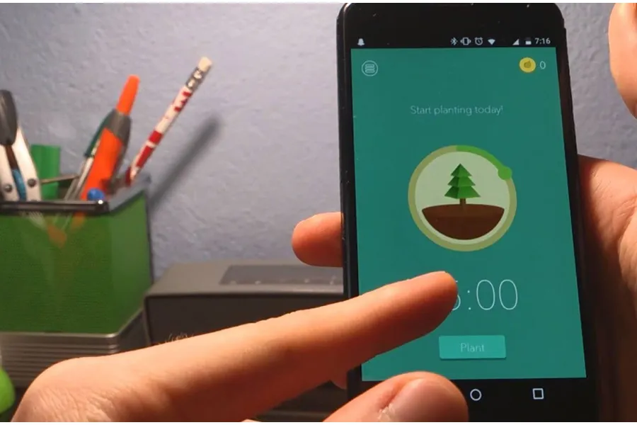 Forest Ders Uygulamaları ile Çalışırken Bir Ağaç Dik