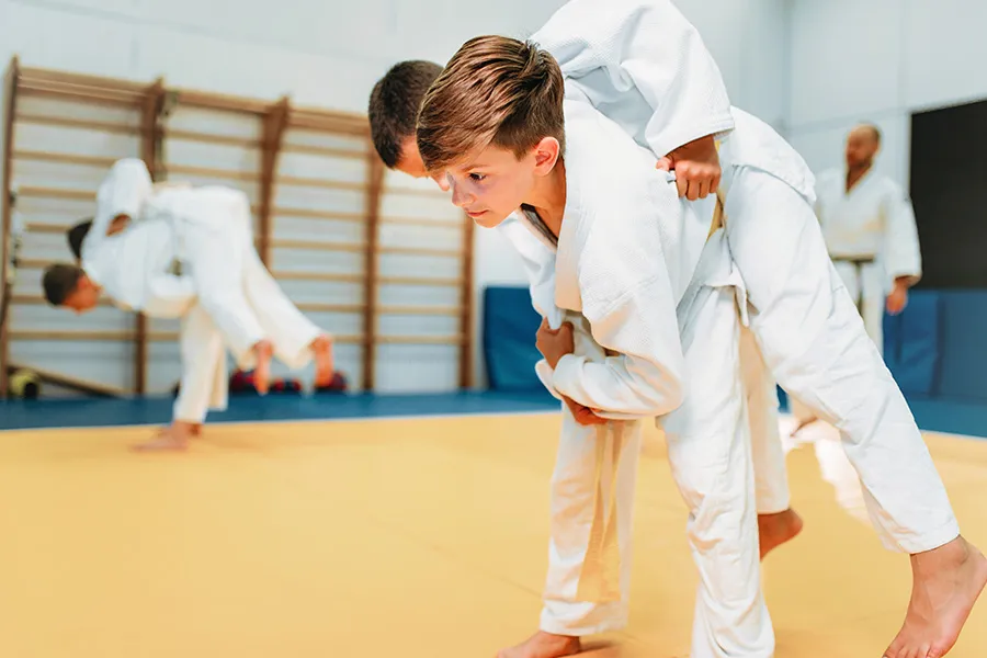 Judo Nedir?