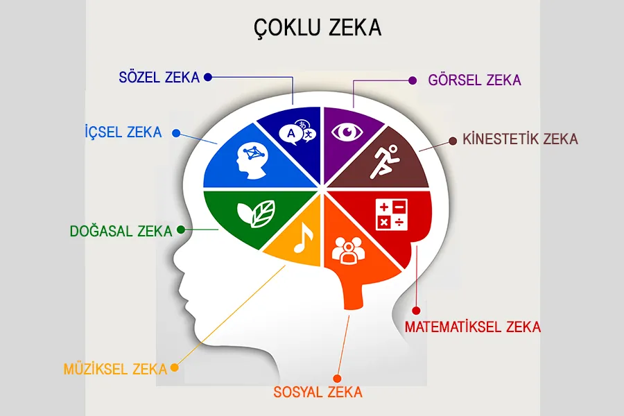 Çoklu Zeka Türleri