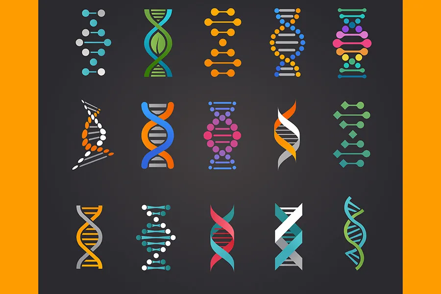 DNA Nedir?