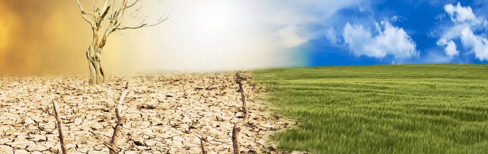 İklim Krizi Nedir? Dünyayı Nasıl Etkiliyor?