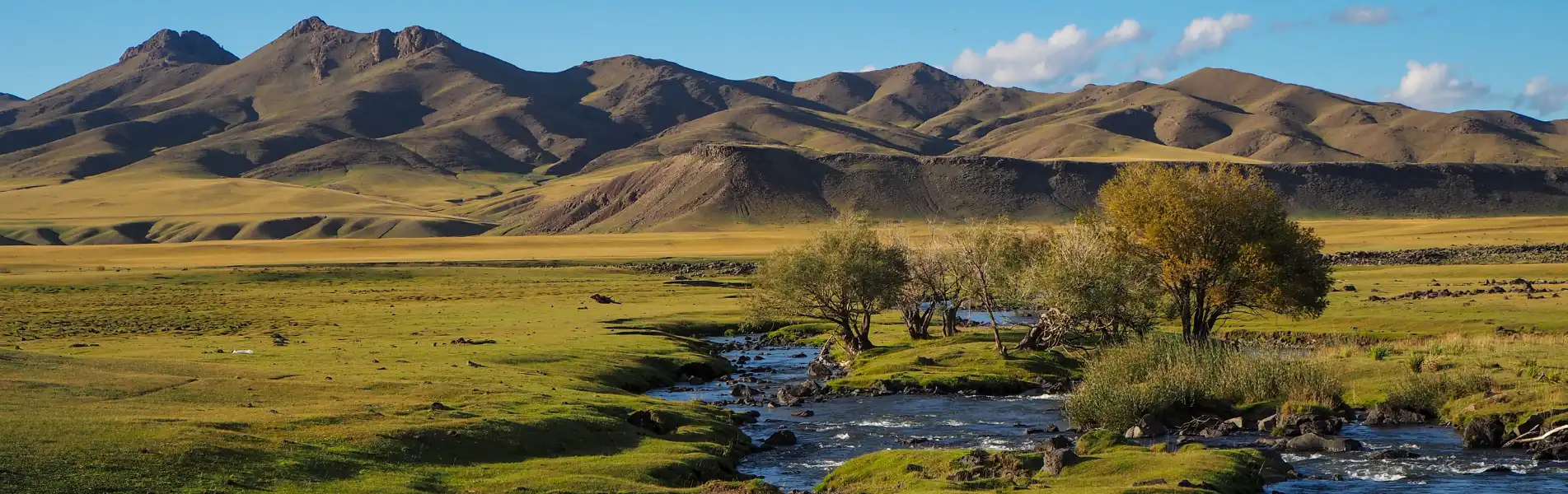 İlk Türk Devletlerinin Başlıca Siyasi, Ekonomik ve Kültürel Özellikleri