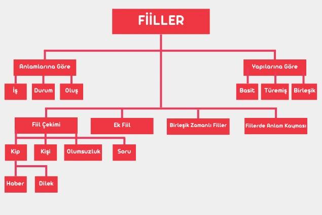 Fiil (Eylem) Nedir?