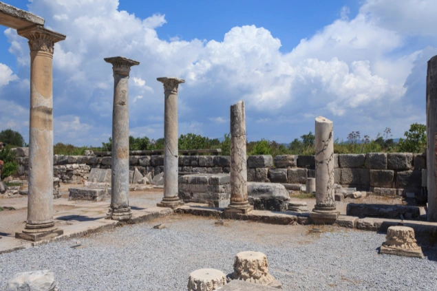 Efes Antik Kenti Kazıları